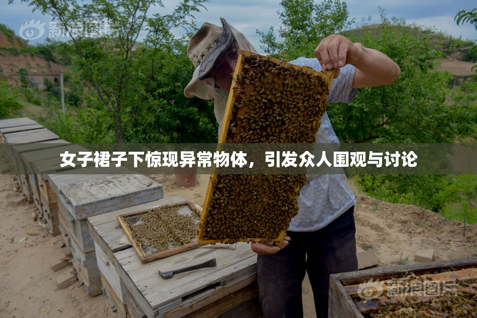 女子裙子下惊现异常物体，引发众人围观与讨论