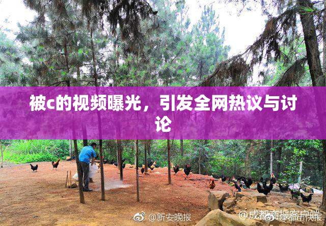 被c的视频曝光，引发全网热议与讨论