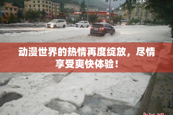动漫世界的热情再度绽放，尽情享受爽快体验！