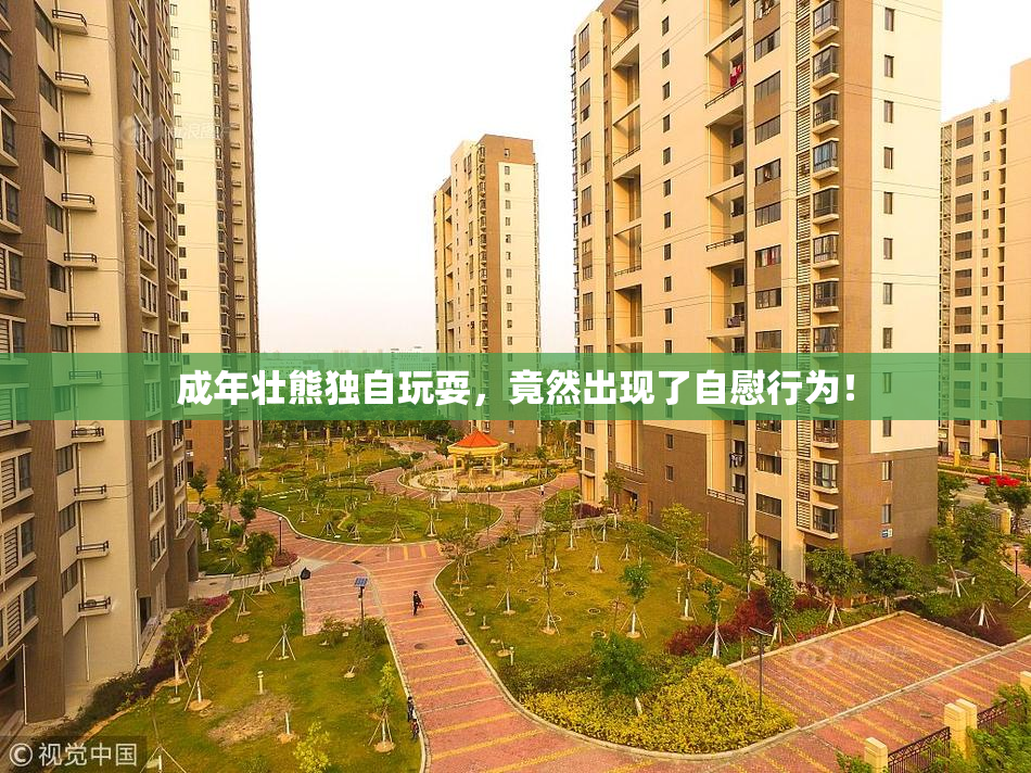 成年壮熊独自玩耍，竟然出现了自慰行为！