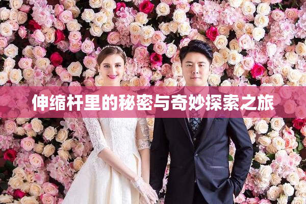 伸缩杆里的秘密与奇妙探索之旅