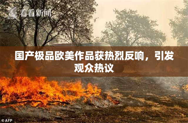 国产极品欧美作品获热烈反响，引发观众热议