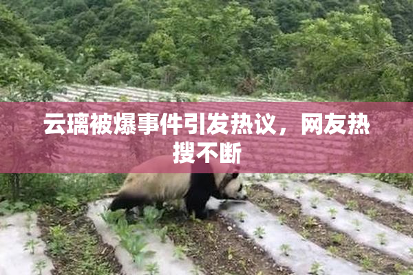 云璃被爆事件引发热议，网友热搜不断