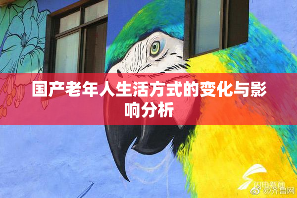 国产老年人生活方式的变化与影响分析