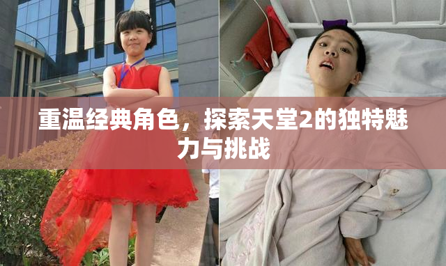 重温经典角色，探索天堂2的独特魅力与挑战