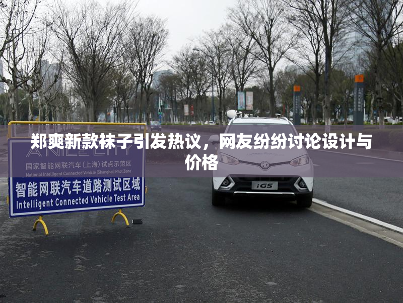 郑爽新款袜子引发热议，网友纷纷讨论设计与价格