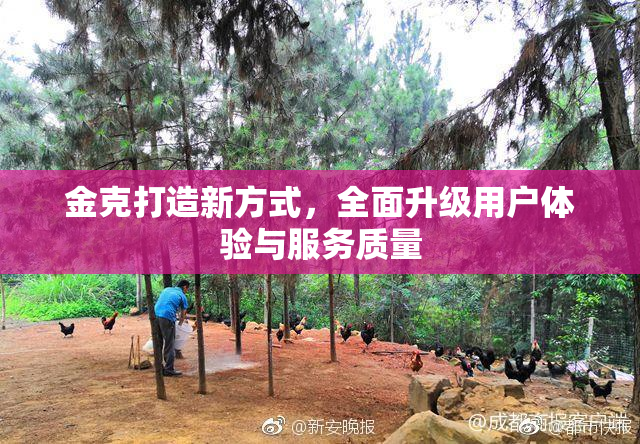金克打造新方式，全面升级用户体验与服务质量