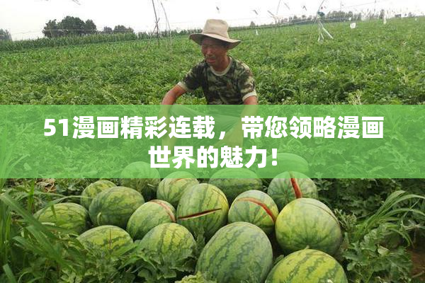 51漫画精彩连载，带您领略漫画世界的魅力！