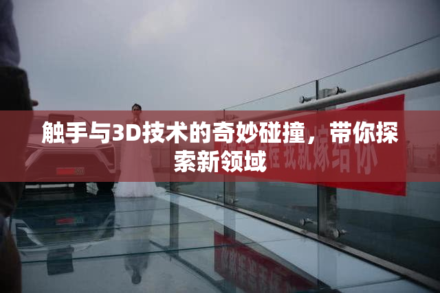 触手与3D技术的奇妙碰撞，带你探索新领域