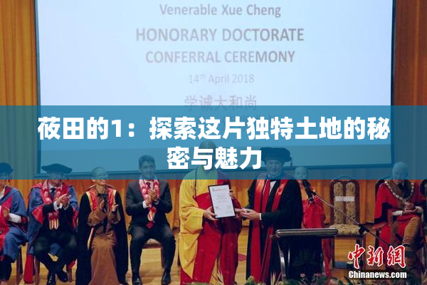 莜田的1：探索这片独特土地的秘密与魅力