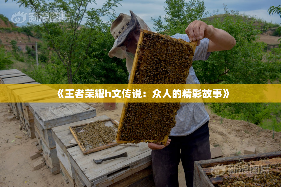 《王者荣耀h文传说：众人的精彩故事》