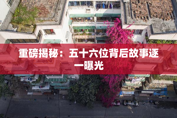 重磅揭秘：五十六位背后故事逐一曝光