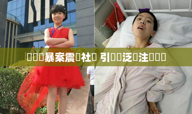 亂倫強暴案震驚社會 引發廣泛關注與討論