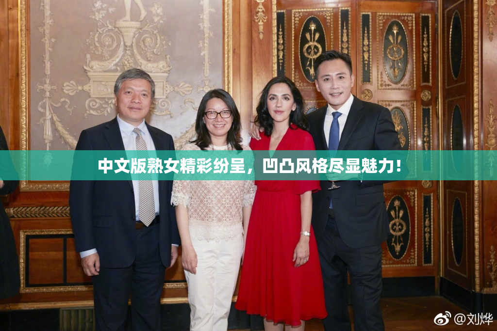 中文版熟女精彩纷呈，凹凸风格尽显魅力！