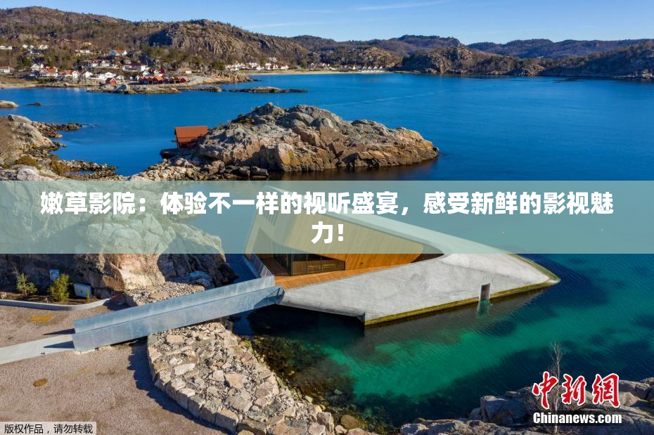 嫩草影院：体验不一样的视听盛宴，感受新鲜的影视魅力！