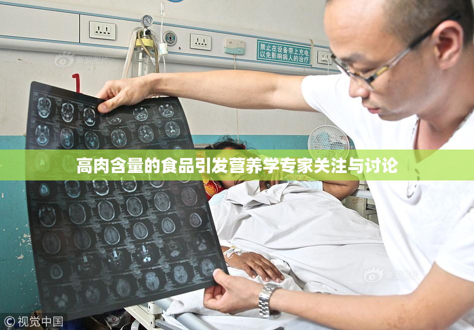 高肉含量的食品引发营养学专家关注与讨论