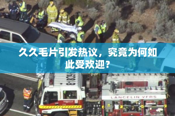 久久毛片引发热议，究竟为何如此受欢迎？