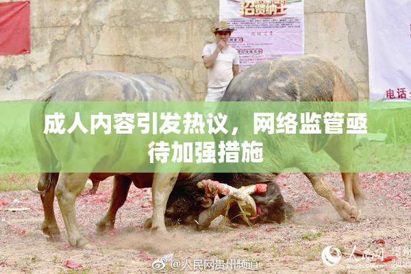 成人内容引发热议，网络监管亟待加强措施