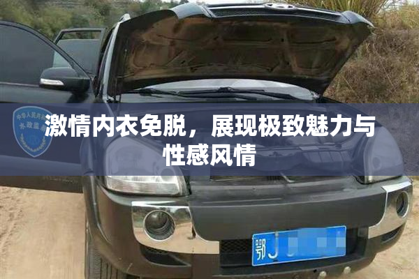 激情内衣免脱，展现极致魅力与性感风情