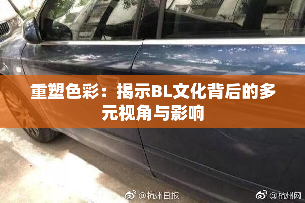 重塑色彩：揭示BL文化背后的多元视角与影响
