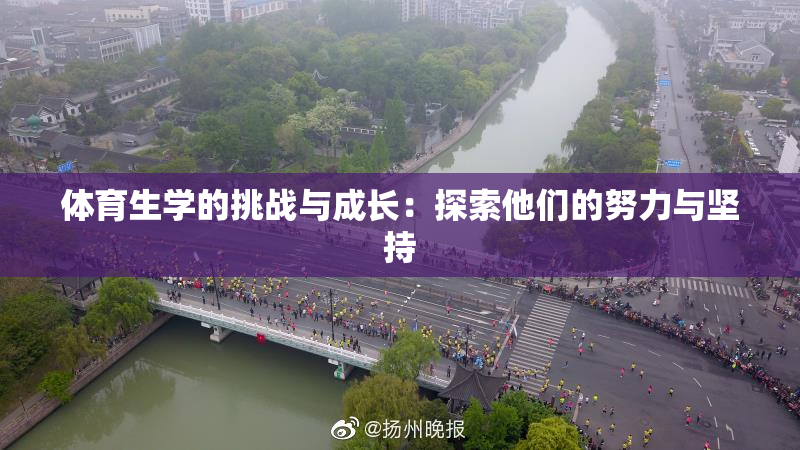 体育生学的挑战与成长：探索他们的努力与坚持