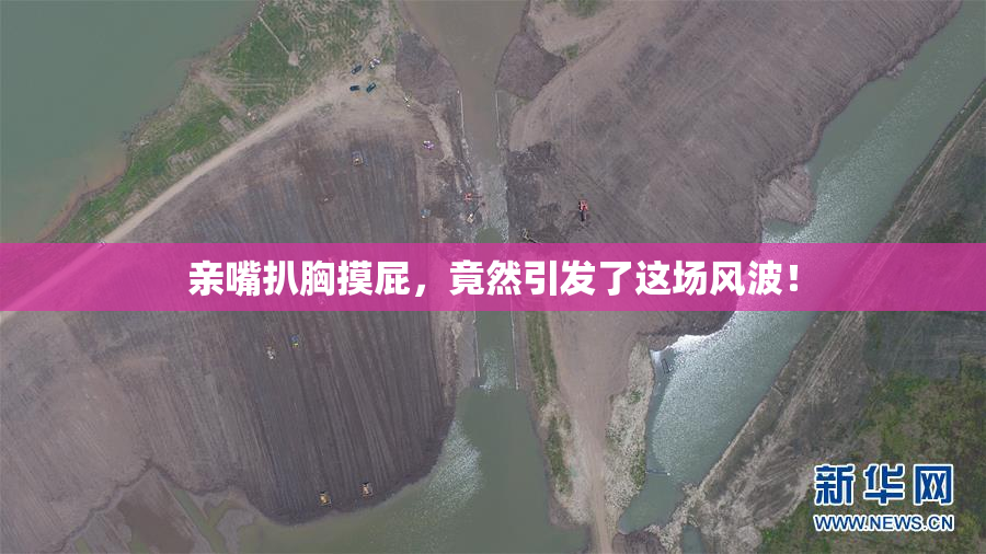 亲嘴扒胸摸屁，竟然引发了这场风波！