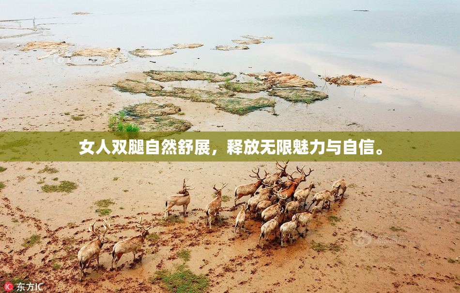 女人双腿自然舒展，释放无限魅力与自信。
