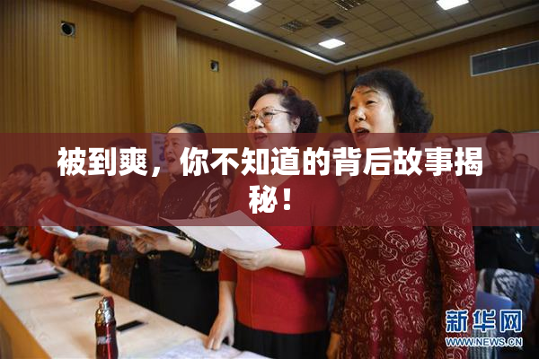 被到爽，你不知道的背后故事揭秘！