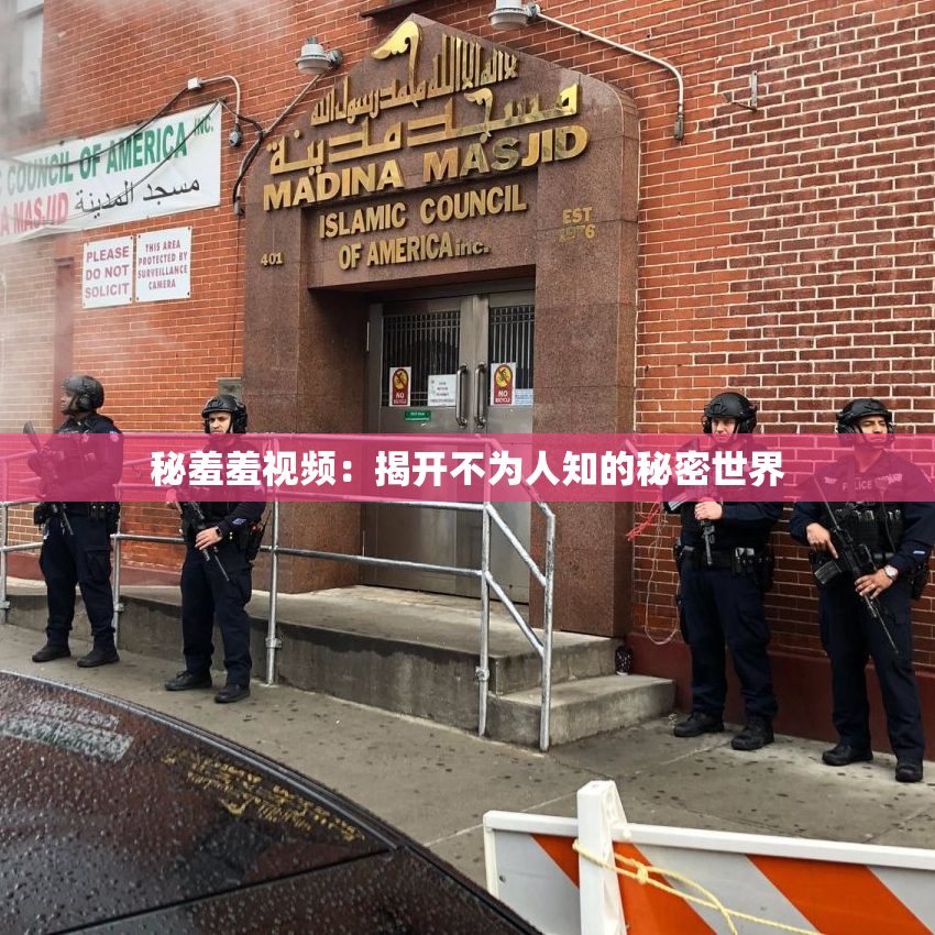 秘羞羞视频：揭开不为人知的秘密世界