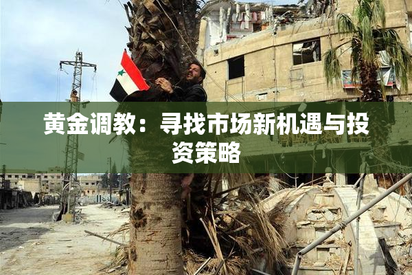 黄金调教：寻找市场新机遇与投资策略