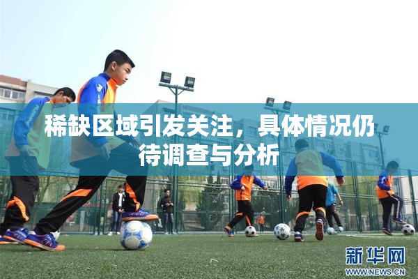 稀缺区域引发关注，具体情况仍待调查与分析