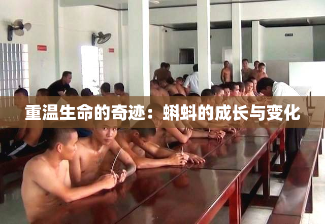 重温生命的奇迹：蝌蚪的成长与变化