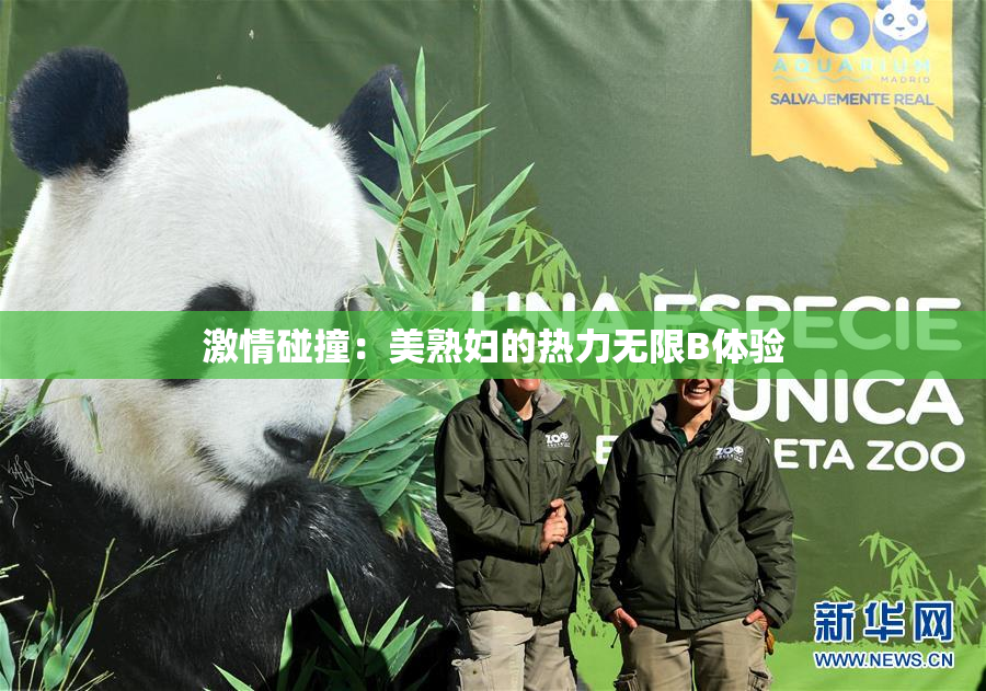 激情碰撞：美熟妇的热力无限B体验