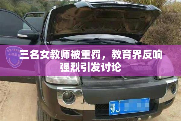 三名女教师被重罚，教育界反响强烈引发讨论