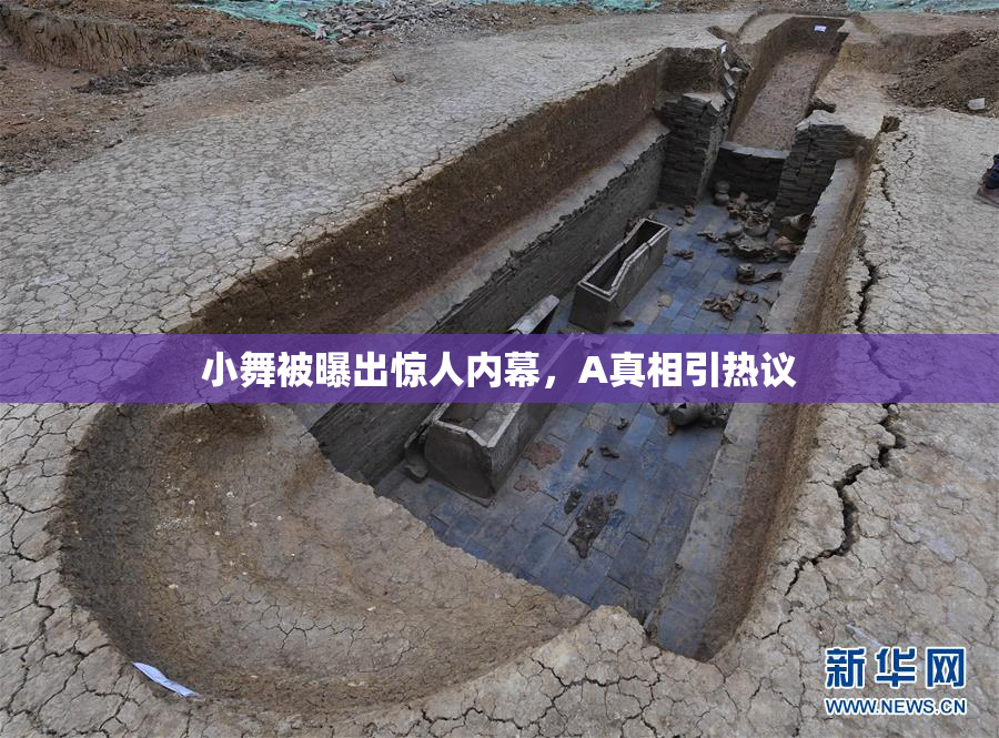 小舞被曝出惊人内幕，A真相引热议