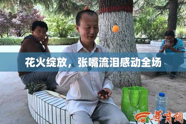 花火绽放，张嘴流泪感动全场
