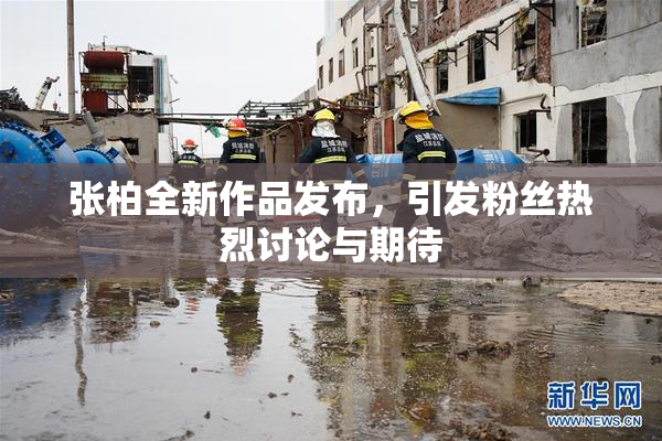 张柏全新作品发布，引发粉丝热烈讨论与期待