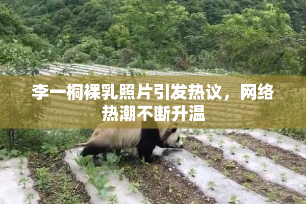 李一桐裸乳照片引发热议，网络热潮不断升温