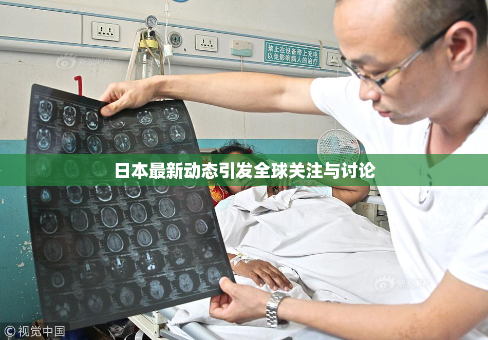 日本最新动态引发全球关注与讨论