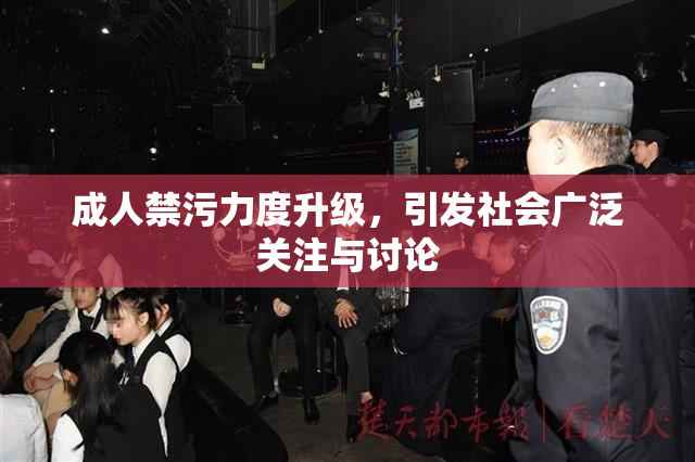 成人禁污力度升级，引发社会广泛关注与讨论