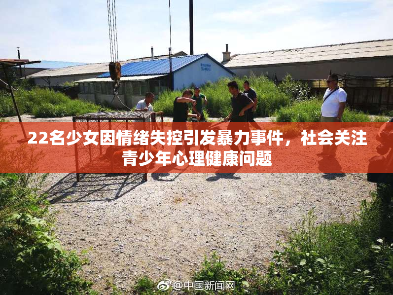 22名少女因情绪失控引发暴力事件，社会关注青少年心理健康问题