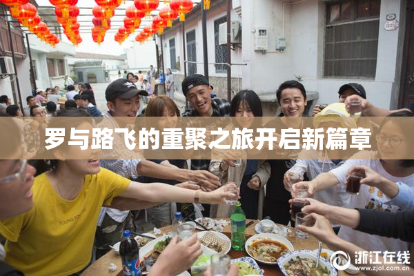 罗与路飞的重聚之旅开启新篇章