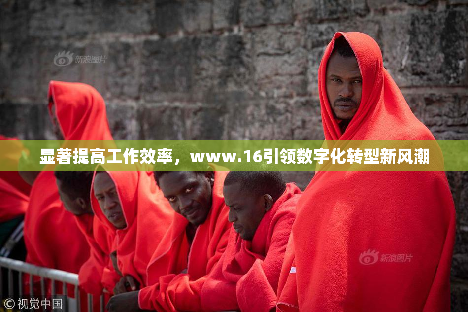 显著提高工作效率，www.16引领数字化转型新风潮
