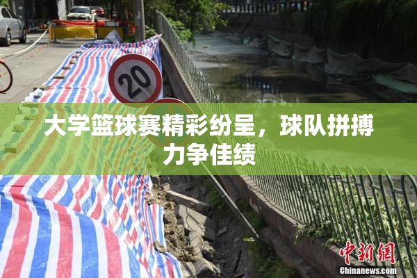 大学篮球赛精彩纷呈，球队拼搏力争佳绩