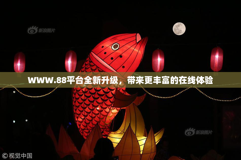 WWW.88平台全新升级，带来更丰富的在线体验