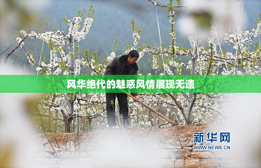 风华绝代的魅惑风情展现无遗