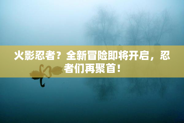 火影忍者？全新冒险即将开启，忍者们再聚首！