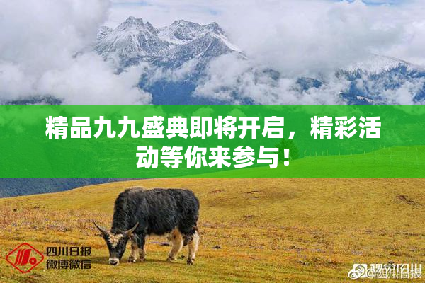 精品九九盛典即将开启，精彩活动等你来参与！