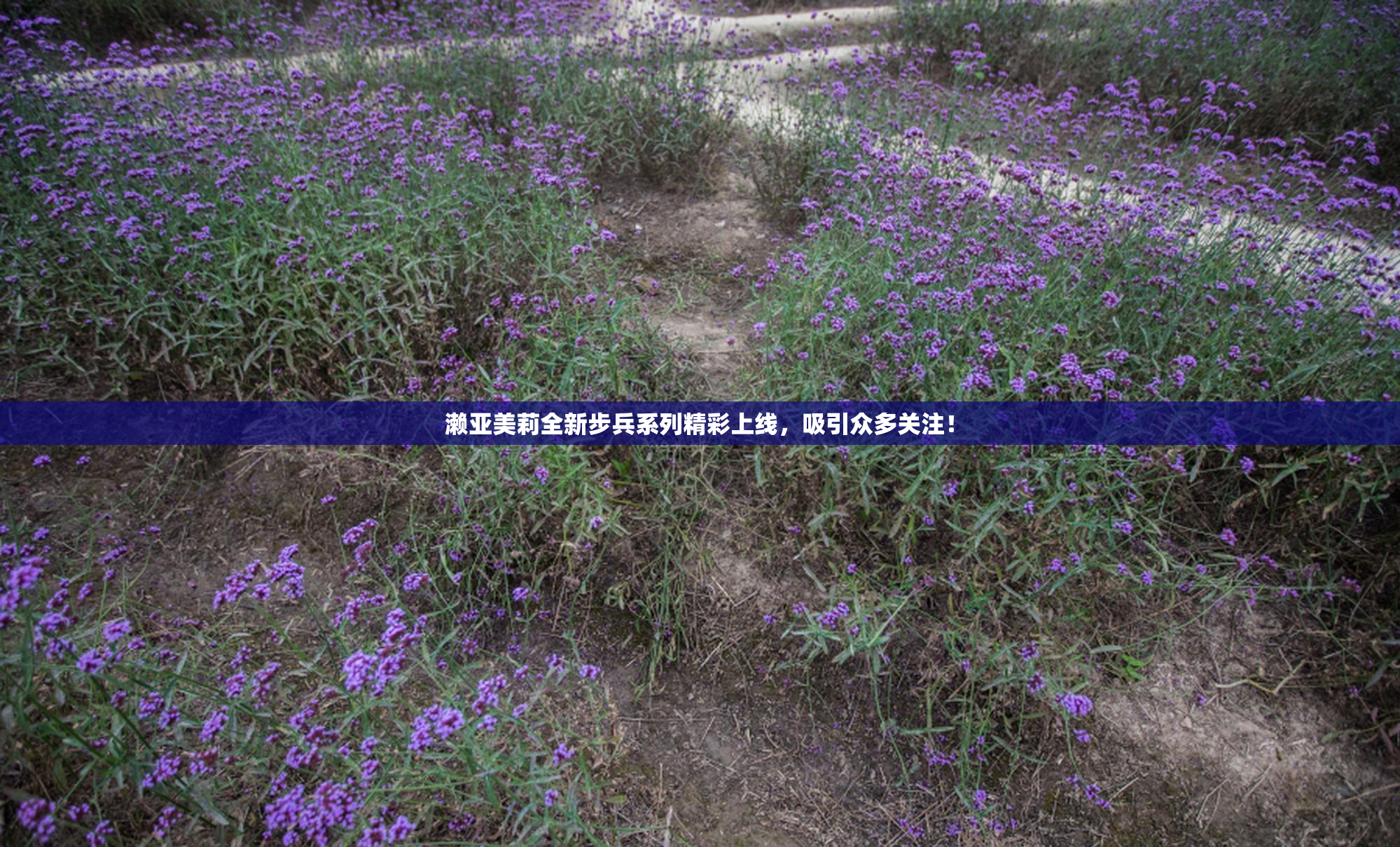 濑亚美莉全新步兵系列精彩上线，吸引众多关注！