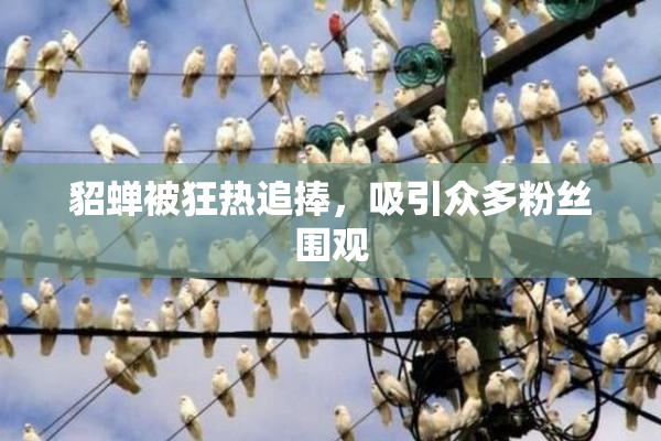 貂蝉被狂热追捧，吸引众多粉丝围观